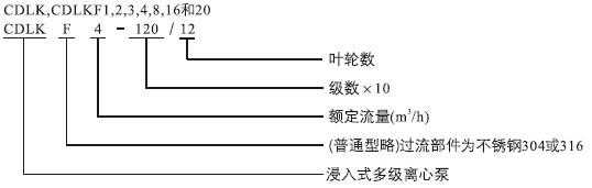 CDLK，CDLKF浸入式多級(jí)離心泵型號(hào)定義